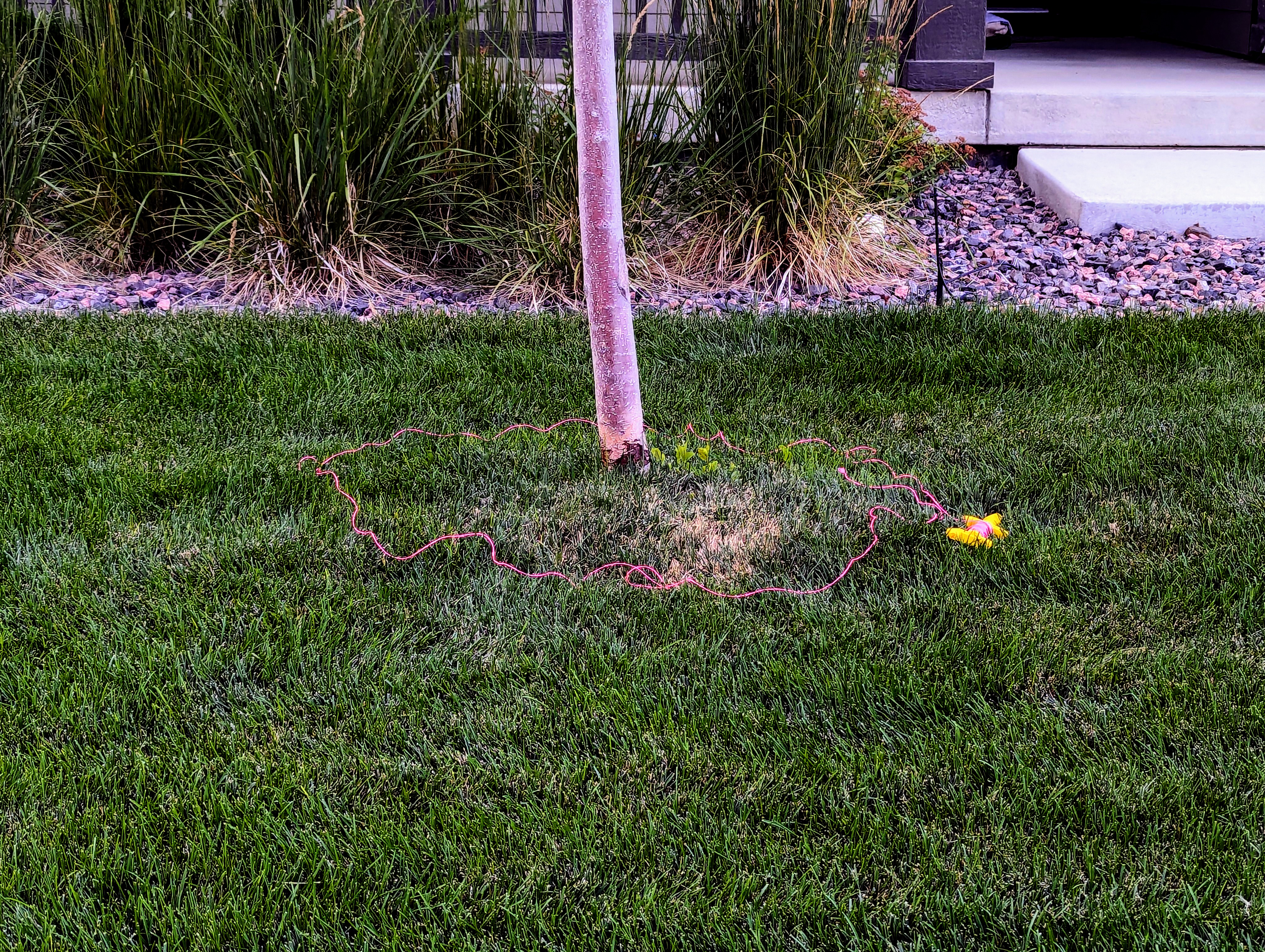 Garden, Morrison, Colorado